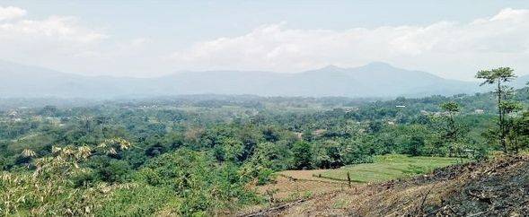 Tanah Cck Utk Komersial, Villa Atau Kebun di Bogor. 15830 1