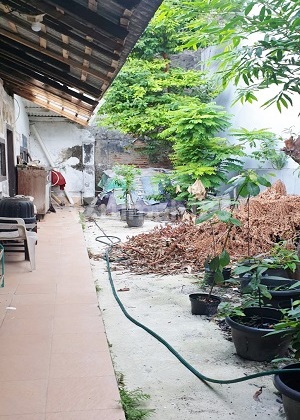 Rumah Tua Hitung Tanah Lokasi Strategis di Percetakan Negara.16054