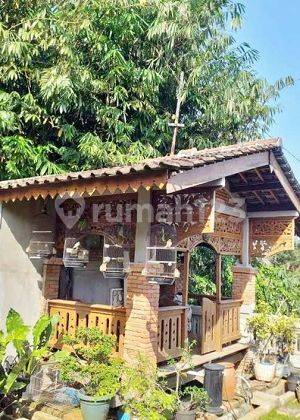 Villa 2lt Halaman Luas, Asri, Full Furnish di Bojonggede. 15447 1