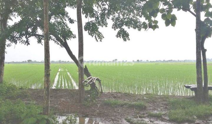 Tanah Sawah Zona Kuning, Dkt St. Kereta Strategis di Bekasi. 0985 1