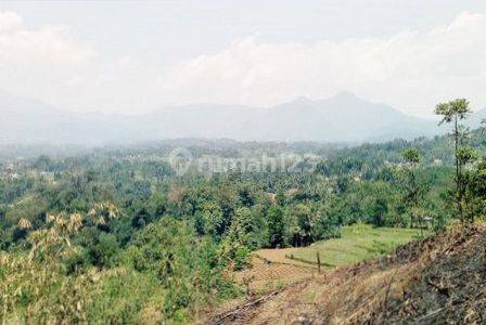 Tanah Cck Utk Komersil, Villa, Kebun, Tepi Jalan di Bogor, 15830 1