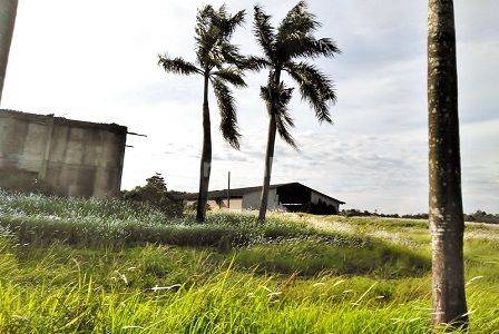 Tanah Industri di Serang Raya, Dekat Akses Tol, Jarang Ada. 0875 1