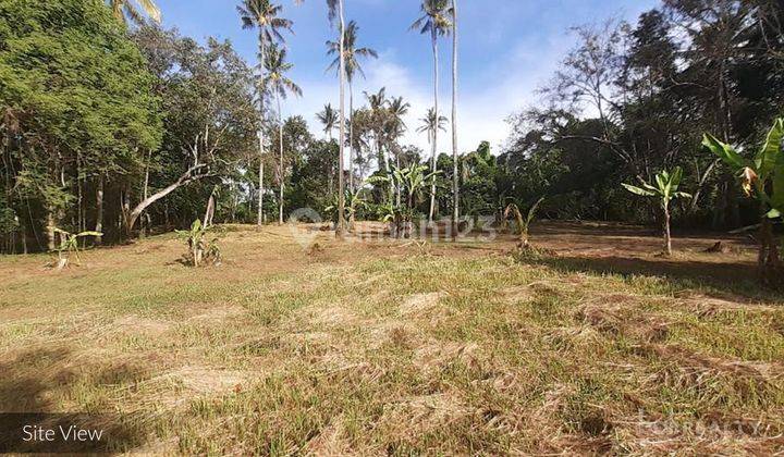 Freehold Land With 100 meter River Frontage In Peaceful Pasut 2323 l 1