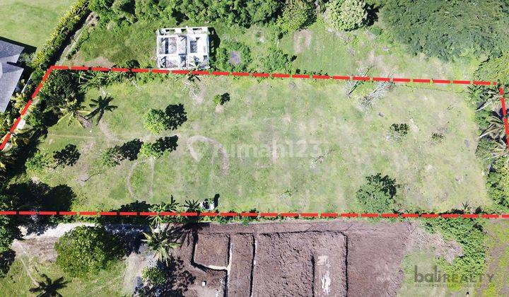 Prime Beachside Freehold Land With Enchanting Views Of The Ocean In Balian 2363 c 2