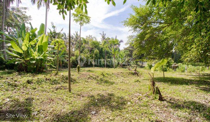 Great Value Freehold Land With River Views 30 Are Near Pasut Beach 2501 N