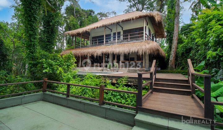 Expansive 27 Are Freehold Property Investment Opportunity, Minutes From Central Ubud 2531 A 2