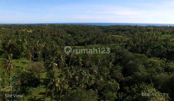 Prime Investment Potential 2,5 Hectare For Glamping Business With Scenic Views Near Balian Beach, Tabanan 2575 L 2