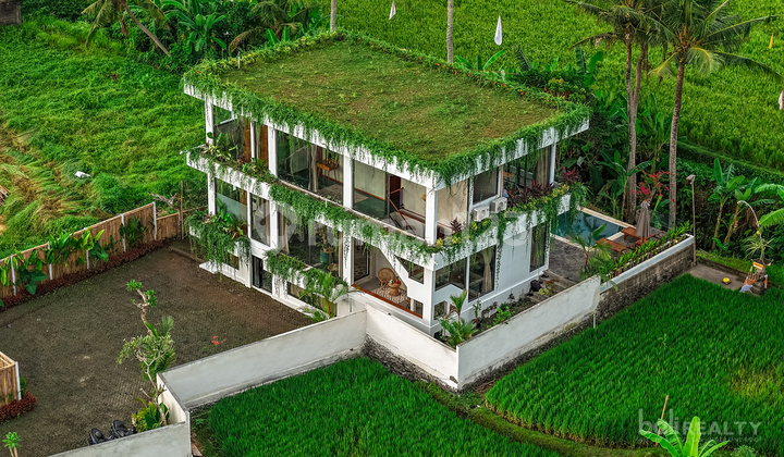 Unique Four-Bedroom Freehold Investment in Kemenuh- 2730 LV Unique Four-Bedroom Freehold Investment in Kemenuh- 2730 LV