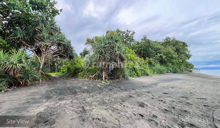 Exclusive 50 Are Freehold Beachfront Land In Jembrana 2654 L 2