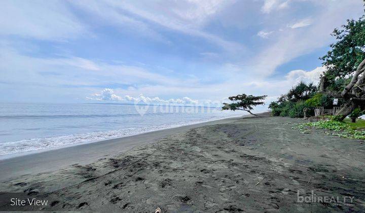 Exclusive 50 Are Freehold Beachfront Land In Jembrana 2654 L 1