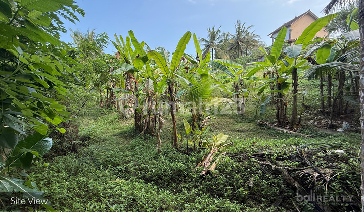 10 to 20 Are of Tourism-Zoned Freehold Land in Balian’s Growing Hotspot – Flexible Purchase Options – 2768 -L