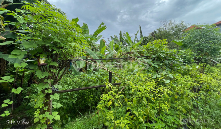 8.5 Are Freehold Land In Quiet Padonan Neighborhood - 2879 -V