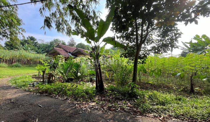 Kavling Murah di  Rumpin  - 15 Menit Stasiun Cisauk