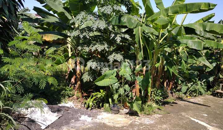 Land For Sale Cheap 9 Minutes to The Park Sawangan Land For Sale Cheap 9 Minutes to The Park Sawangan