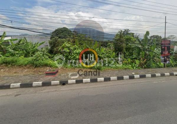 Plot in Diponegoro Candirejo Central Java 2