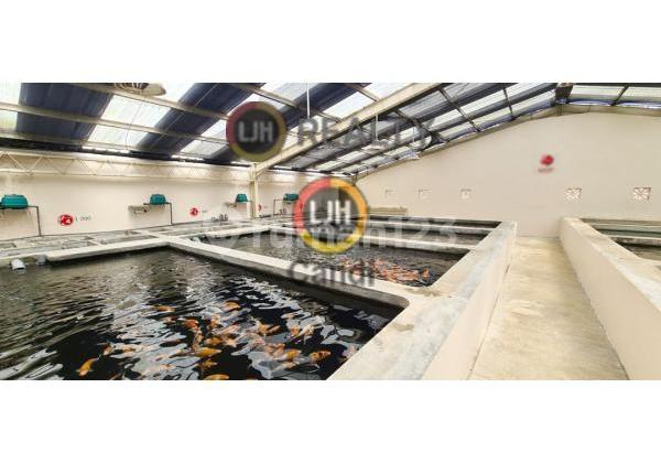 House in Sumur Harjo, Gunung Pati, Semarang 1