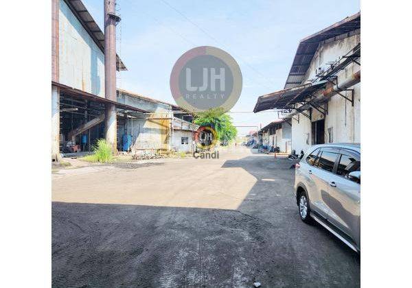 Gudang di Tirto Pekalongan Jawa Tengah 1