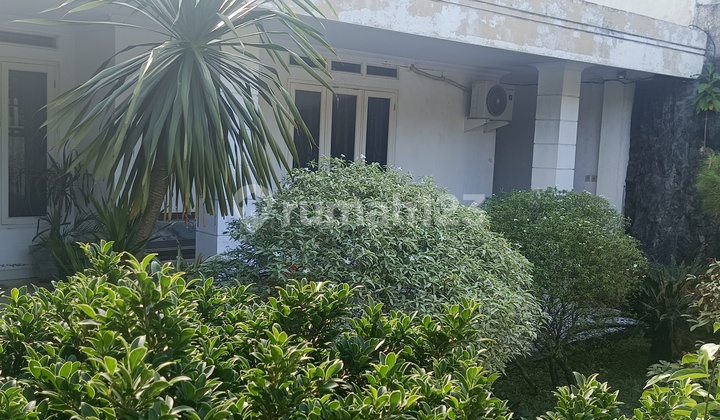 Rumah Kebon Jeruk 10 Juta Per Meter Jalan Raya LT 443 m 2