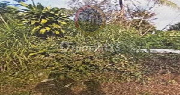 Kavling di Ampel, Boyolali