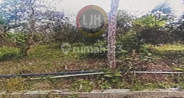 Kavling di Ampel, Boyolali