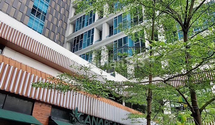 Apartemen 45M2 Rapi Brooklyn Alam Sutera Tangerang Full Furnish City View Siap Huni