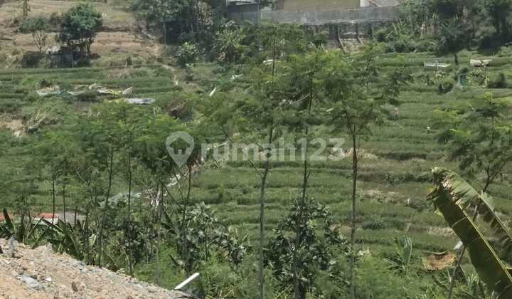 Tanah Sangat Strategis Jalan Utama Di Tambak Aji Semarang Jawa Tengah 1