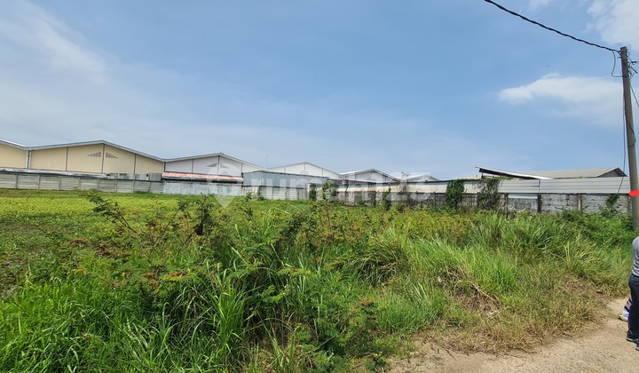 Kavling di Kompleks Industri Teluk Naga Kavling di Kompleks Industri Teluk Naga