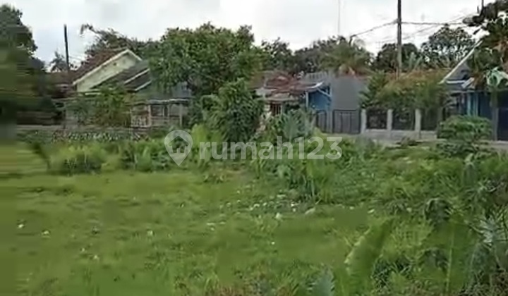 Land in Malang Nengah, Pagedangan, Tangerang, Banten, suitable for building warehouses, factories, car pools, etc. Strategic location. Land in Malang Nengah, Pagedangan, Tangerang, Banten, suitable for building warehouses, factories, car pools, etc. Strategic location.