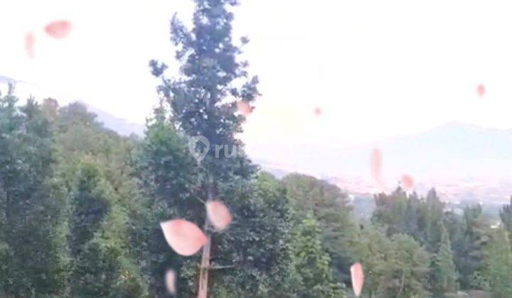 Tanah Harga Butuh Uang View Gunung Lokasi Terbaik5650m2 Di.mega Mendung  1