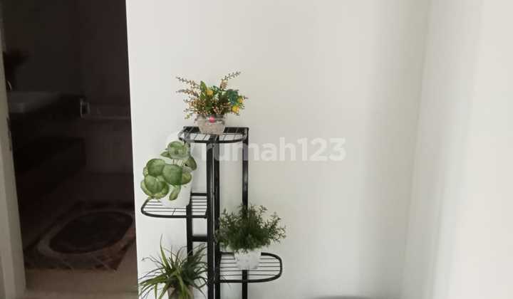 Green Apartments for Rent with Strategic Location and Affordable Price 2