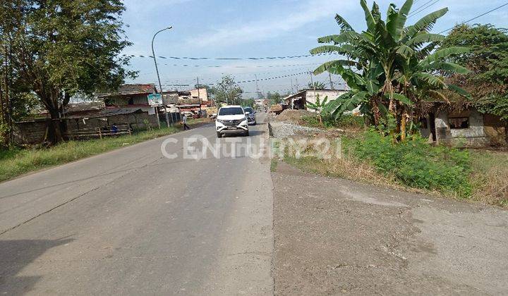 TNH DI LOKASI STRATEGIS DAN BERKEMBANG  CIKANDE BANTEN 1