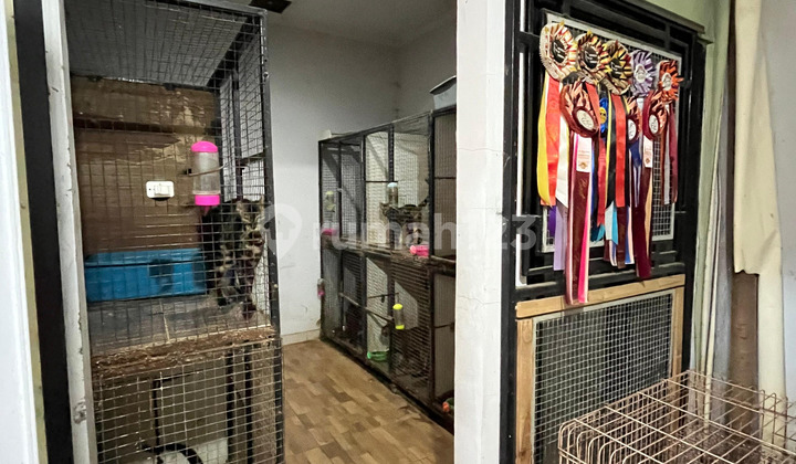 For Rent 1 BR Apartment Collins Gading Serpong Tangerang Kota Rio