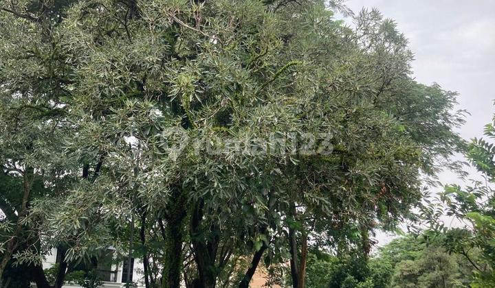 Dijual Tanah Kavling Hoek 270m2 The ICon BSD Lokasi Bagus Siap Bangun Bonus Fasum 200m2 can Dijual Tanah Kavling Hoek 270m2 The ICon BSD Lokasi Bagus Siap Bangun Bonus Fasum 200m2 can