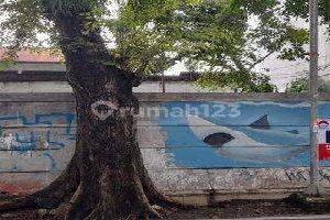 Rumah Tua Jln Bangka Jarang Ada Jalan Lebar Bagud Untuk Investasi 2