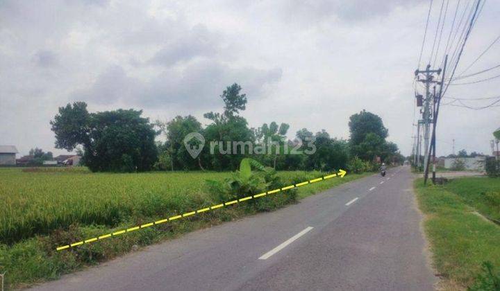 Tanah Sawah Strategis Pinggir Jalan Raya Masaran Sragen 1