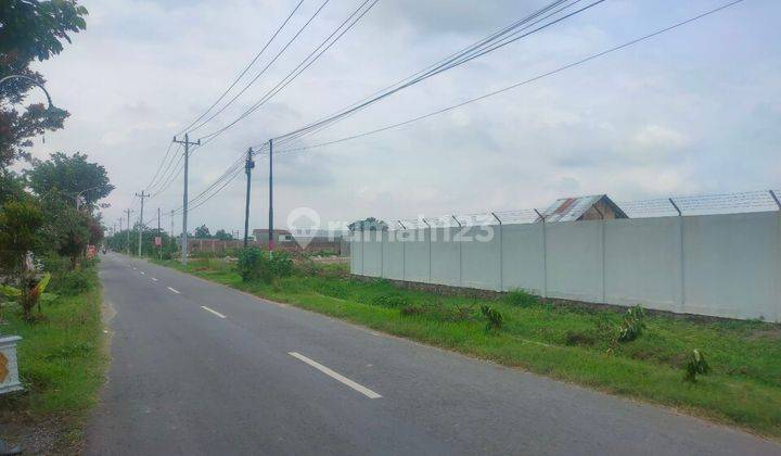 Tanah Sawah Strategis Pinggir Jalan Raya Masaran Sragen 2