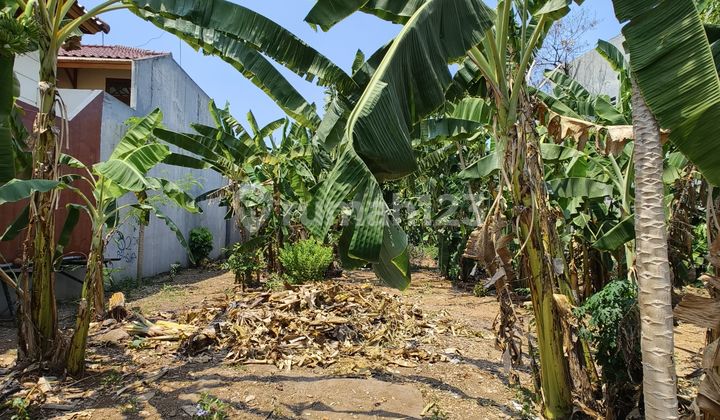 Jual Tanah Murah Cocok Untuk Cluster Di Duren Sawit Jakarta Timur