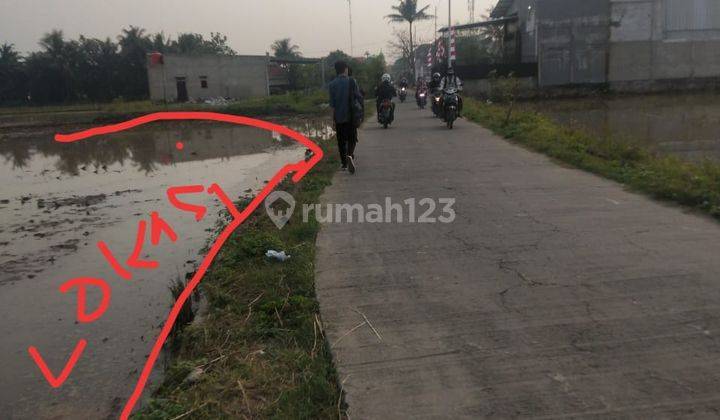Tanah Sawah Cocok Untuk Perumahan di Kawasan Rajeg Tangerang 2