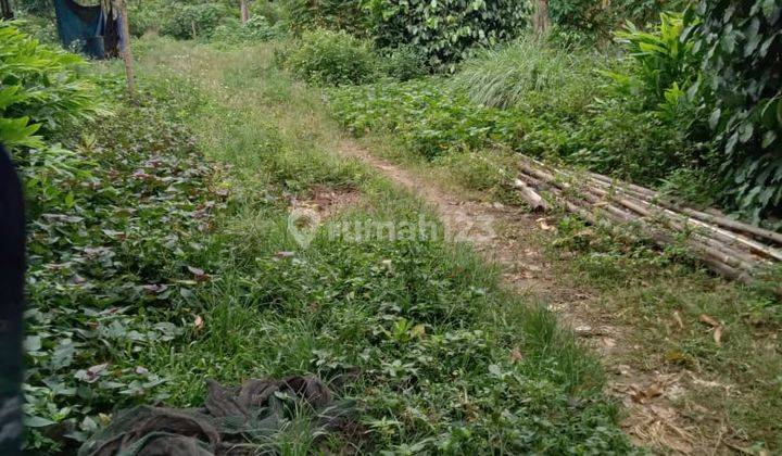Tanah Kebun Cocok Untuk Gudang Atau Sekolahan Di Babat Legok 6