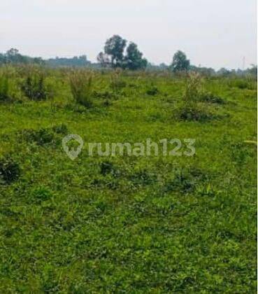 Lahan Cocok Untuk Perumahan Lokasi Di Curug Tangerang 1