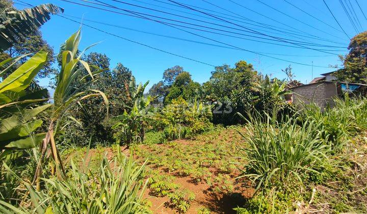 Tanah Lokasi Di Pinggir Jalan Ciambar Sukabumi 1