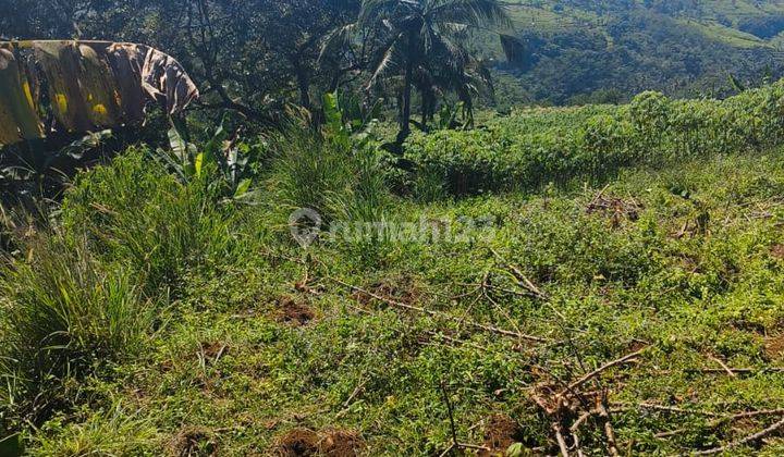 Tanah Harga Murah Lokasi Di Ginanjar Sukabumi 2