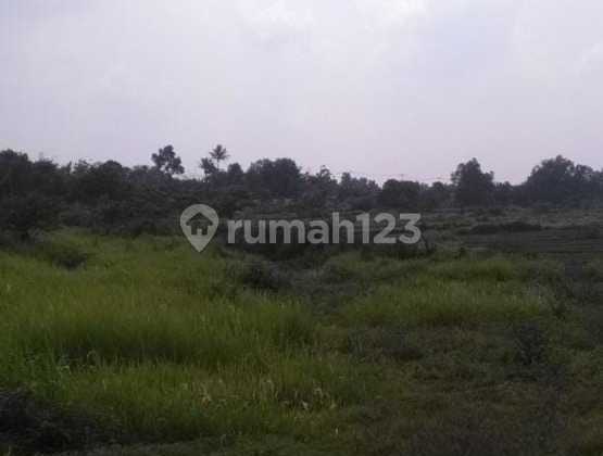 Dijual Tanah Lokasi Strategis Di Cikupa Tangerang