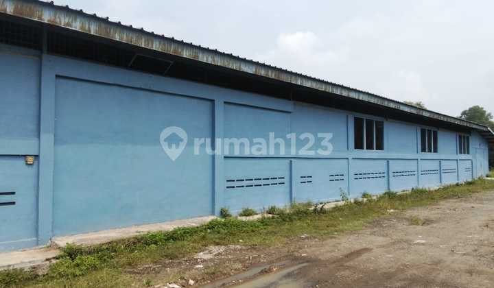 Disewakan Gudang Lokasi Strategis Di Rangkas Bitung Lebak Banten 1