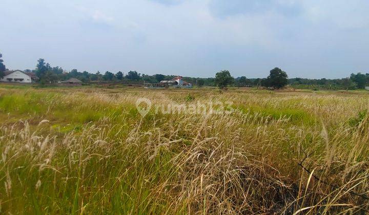 Dijual Cepat Tanah Di Bantar Panjang Tigaraksa Tangerang 2