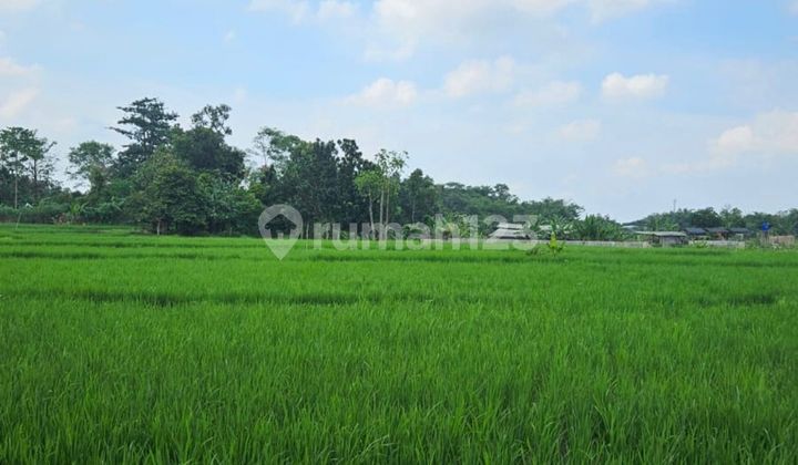 Tanah Komersial di Pinggir Jalan Raya Besar Sumber, Cirebon