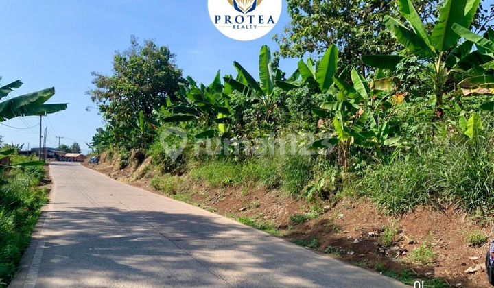 DIJUAL TANAH LUAS DI CIANJUR DIJUAL TANAH LUAS DI CIANJUR