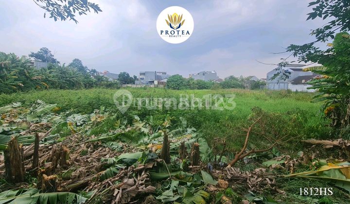 Dijual Tanah Dibawah Harga Pasar, Pas Banget Untuk Perumahan Dan Sekolah Dijual Tanah Dibawah Harga Pasar, Pas Banget Untuk Perumahan Dan Sekolah