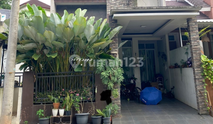 Rumah Dalam Cluster di Cendana Residence Rumah Dalam Cluster di Cendana Residence