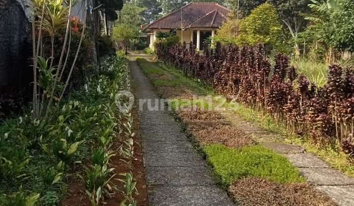 Tanah Di Pinggir Jalan Dijual Berikut Bangunan Yg Ada Di Mega Mendung Bogor